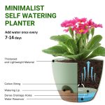 FOUKUS Set of 5 Self-Watering Plant Pots with Drainage – Eco-Friendly Plastic Planters for Indoor & Outdoor Use – Pots for Succulents, Cactus, Snake Plants (7, 6.5, 6, 5.5, 5) – Green - Image 5