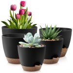 FOUKUS Set of 5 Self-Watering Plant Pots with Drainage – Eco-Friendly Plastic Planters for Indoor & Outdoor Use – Pots for Succulents, Cactus, Snake Plants (7, 6.5, 6, 5.5, 5) – Green - Image 13